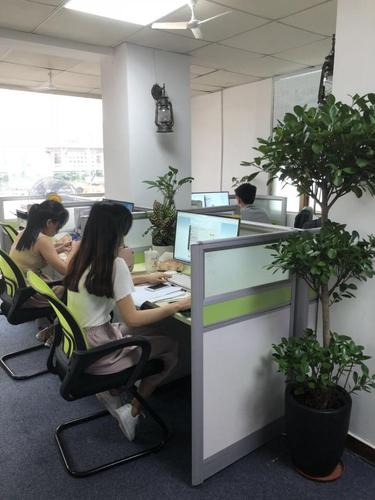 如何做好信息技術咨詢服務？踐行七點核心，真正賦能客戶