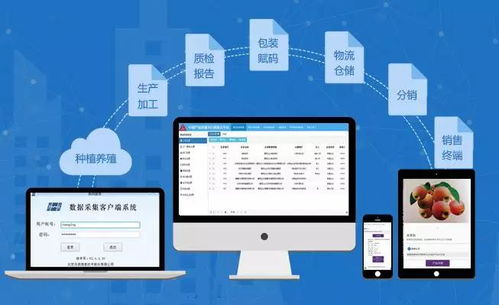 兆信股份 溯源為何離不開物聯網與物聯網技術服務