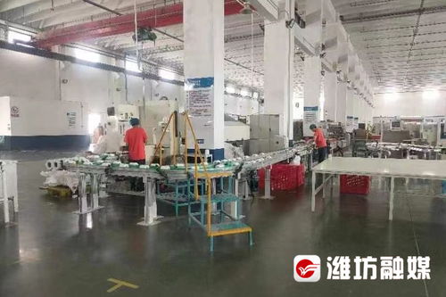 老造紙廠的新篇章 恒聯集團的上市夢與裕恒印務的轉型之路